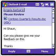 Treo Email