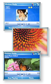 Q Multimedia