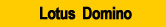 Integrates with Lotus Domino