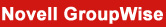 Integrates with Lotus Domino