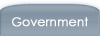 Wireless Government 