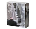 RIM™ BlackBerry Enterprise Server 4.1 for Novell Groupwise - Single user