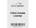 RIM™ BlackBerry Enterprise Server CAL, 1,000 user